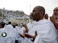 الفوج الأول من حجاج فلسطين يصل إلى السعودية