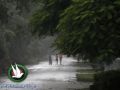 99 هزة ضربت كاليفورنيا خلال يوم واحد والاعصار "اسحق" يتجه نحو فلوريدا