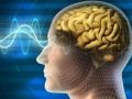 عالم ألماني: مخ الإنسان يمكن تدريبه كأي عضلة بالجسم