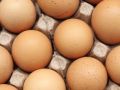 7 حقائق عن البيض لا تعرف عنها شيئاً.. هذه فترة صلاحيته والعمر الأنسب للطهي