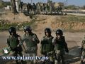 مصر تعتقل اثنين من اعضاء التنظيم الجهادي في سيناء