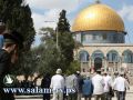جولات استفزازية لجماعات يهودية في باحات الأقصى