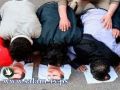 إحراق كتب الشيخ البوطي في دير الزور بعد فتاواه بجواز السجود على صور الأسد