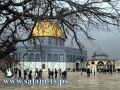 الهند: جميع الإجراءات الإسرائيلية في مدينة القدس باطلة ولاغية