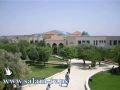 الجامعة العربية الأمريكية تفوز بلقب نجمة الجامعات الفلسطينية