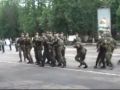 بالفيديو : شجرة تسقط بشكل مفاجئ بين المجندين