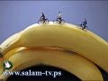 بالصور: فنان يخلق مجسمات للحياة اليومية من اللعب والطعام!