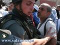 اصابة المصور الصحافي ناصر الشيوخي بقنبلة غاز في الخليل