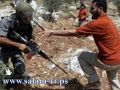 اصابة 12 مواطنا واستخدام مواد كيماوية لقمع المسيرات المناهضة للجدار