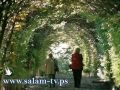 اسرائيليان يمارسان الجنس علناً بحديقة للعائلات بالأردن