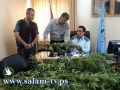 شرطة مكافحة المخدرات تضبط 43 فرش حشيش و23 كيلو بانجو