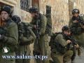 اعتقال تسعة من قيادات الشعبية في جنين
