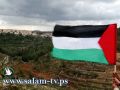 نشطاء فيسبوك يدعون الغزيين لرفع علم فلسطين بيوم الدولة