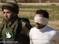 قوات الاحتلال الاسرائيلي تعتقل فتى من بلدة عزون