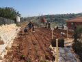 بنك فلسطين يقدم دعمه لإنشاء حديقة أم التوت البيئية في جنين بالشراكة مع مركز العمل ...