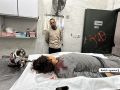 شهداء واصابات بغزة وجباليا والاحتلال يطلق الرصاص على طول الخط الأصفر