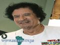 إجماع إسرائيلي على قرب نهاية حكم القذافي