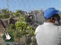 مستوطنون يعتدون على كروم العنب في بيت أمر