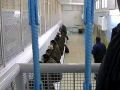 الاسرى الفلسطينيون يهددون بخطوات تصعيدية الشهر المقبل