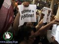 شركة طيران ألمانية تلغي تذاكر متضامنين مع فلسطين