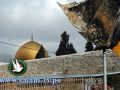 رجل دين : إسرائيل قررت تحويل باحات الأقصى الى حدائق عامة