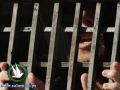 إسرائيلي يكمل عامه الـ 11 داخل السجن لرفضه تطليق زوجته