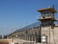 حالات مرضية صعبة في سجن عسقلان ومقاطعة لعيادة السجن - شاهد الاسماء