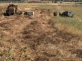 الاحتلال يمنع مزارعين من حصاد القمح في بيت فوريك شرق نابلس