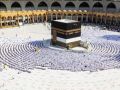 الأوقاف تحذّر المواطنين من التعاطي مع برامج للحج خارج المسار الرسمي لدولة فلسطين