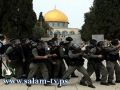 الاحتلال يحول القدس القديمة ومحيطها ومحيط الأقصى إلى ثكنة عسكرية
