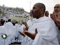 الهباش: حجاج قرعة الاحتياط العام الماضي مقبولون تلقائيا