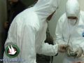 الكشف عن ملابسات مقتل مسنة في الخليل