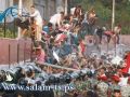 سفراء عزاب في القاهرة