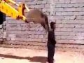 بالفيديو : رجل يحك ظهره بأمشاط آلية حفر ثقيلة (جرافه)