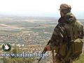 يديعوت أحرونوت: حزب الله يتحالف مع مهربي المخدرات