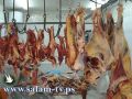 بلدية جنين تتلف كمية كبيرة من اللحوم المجمدة