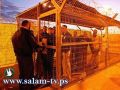 أسير فلسطيني يطعن ضابطاً إسرائيلياً في سجن نفحة
