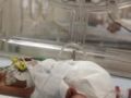 الجزائر تفقد 36 ألف رضيع كل سنة