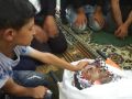 تشييع جثمان الشهيد صبارنه