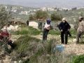 مستوطنون يهاجمون منازل المواطنين في خلايل اللوز جنوب شرق بيت لحم