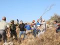 الأمم المتحدة: نحو 5 آلاف فلسطيني نزحوا بسبب هجمات المستوطنين بالضفة