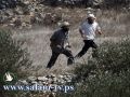 مستوطنون يغرقون ارض زراعية بالمياه العادمة ويسرقون جرافة قرب عتصيون