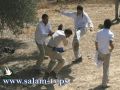 مستوطنون يقتلعون أشجار لوزيات من أراض في بيت أمر