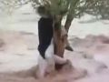 شجرة تنقذ شابين من الغرق بعد ان حاصرتهما السيول في السعودية - شاهد الفيديو