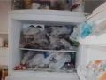 العثور على 38 قطا في ثلاجة إسرائيلي في بات يام