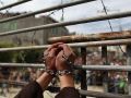الاحتلال يعتقل زوجة أسير وطفله اثناء زيارته