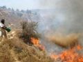 مستوطنون يحرقون مساحات شاسعة من الاراضي الزراعية غرب نابلس