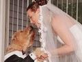 امريكية تتزوج من كلبها بعد خيانة الرجال لها !!