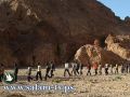 تقليصات ميزانية الوزارات ستجند لمكافحة ظاهرة التسلل لإسرائيل