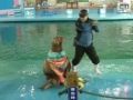 فيل البحر يتراقص على غانغام ستايل ـ شاهد الفيديو